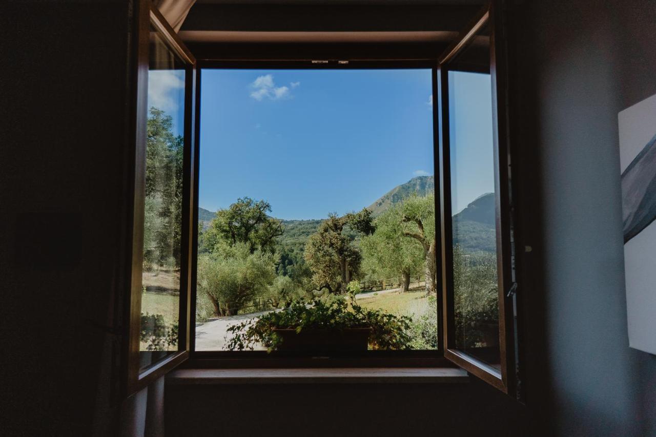 Tenuta Terre Di Bosco Oasi Di Relax Nel Cilento San Giovanni a Piro Bagian luar foto