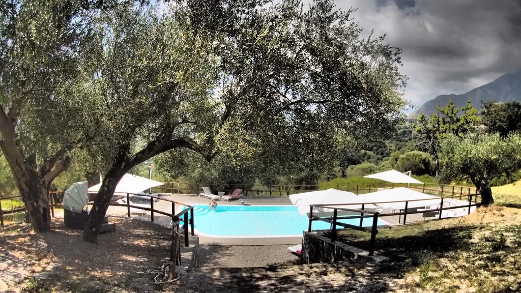 Tenuta Terre Di Bosco Oasi Di Relax Nel Cilento San Giovanni a Piro Bagian luar foto
