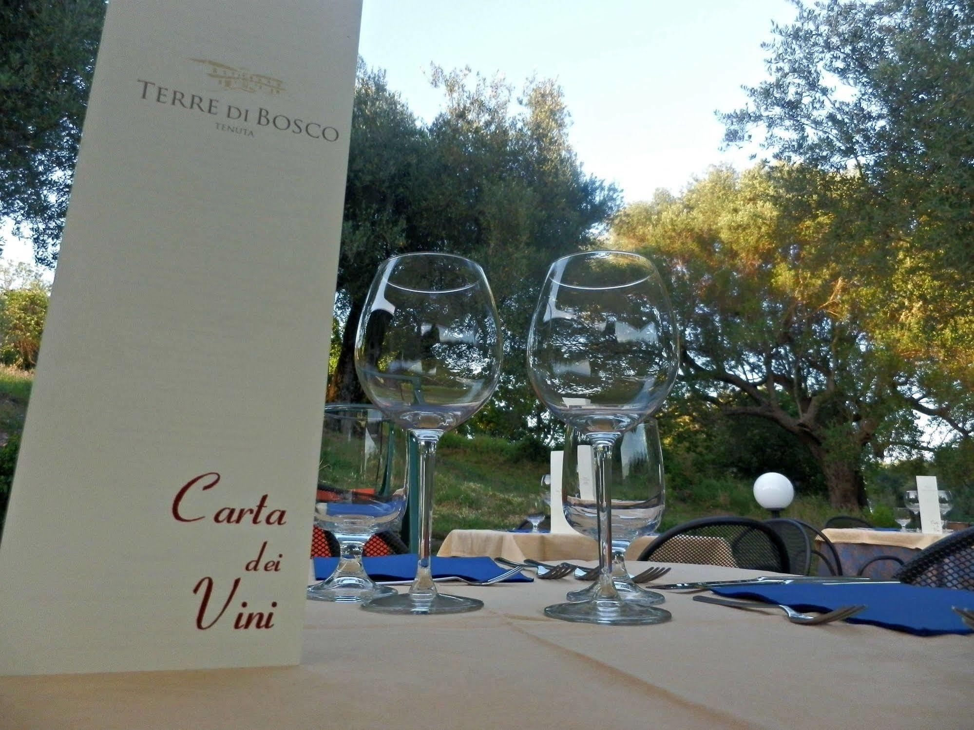 Tenuta Terre Di Bosco Oasi Di Relax Nel Cilento San Giovanni a Piro Bagian luar foto
